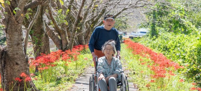 彼岸花で赤く染まる河川敷を散歩