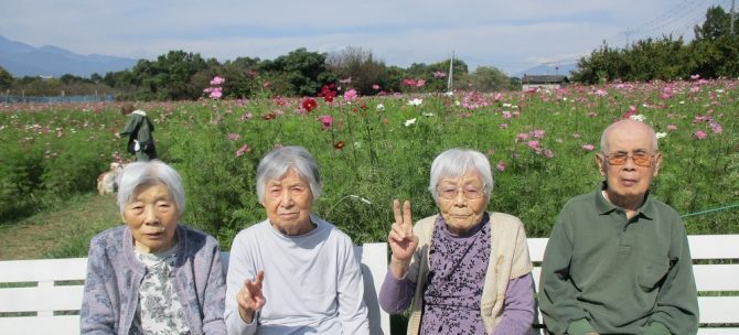 ドライブレクリエーション