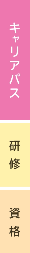 キャリアパスの図